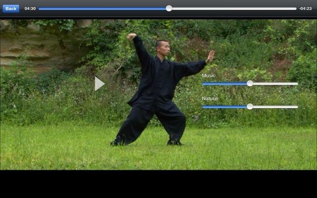 Tai-Chi Lite截图5