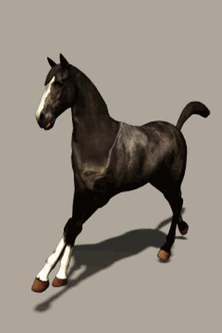 Black Horse Live Wallpaper截图2