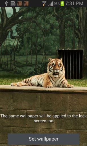 Hungry Tiger Live Wallpaper截图2