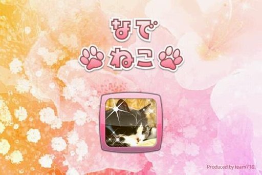 Pet a Cat截图2