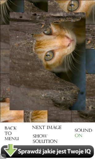 Cats Photo Puzzle截图4