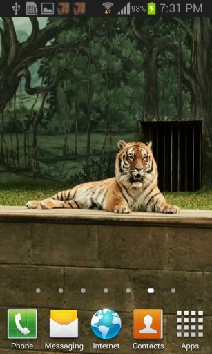 Hungry Tiger Live Wallpaper截图1