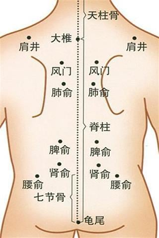 儿童穴位图截图4