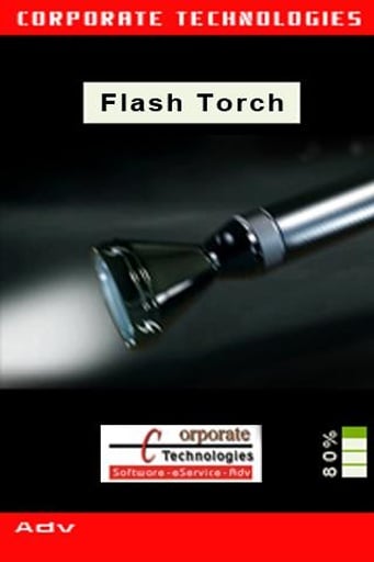 Flash Torch截图1