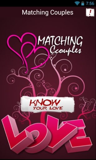 Matching Couples截图3