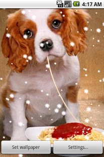 Funny Animal Live Wallpaper截图2