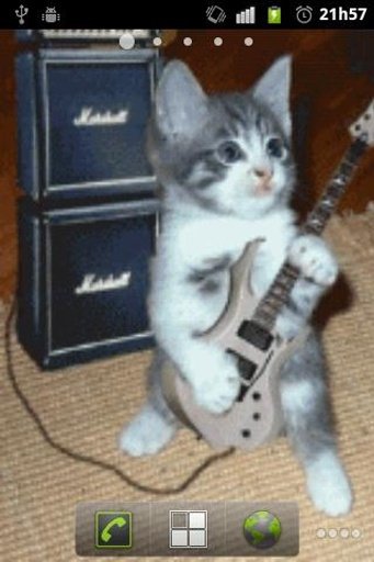 RocknRoll Cat LWP截图1