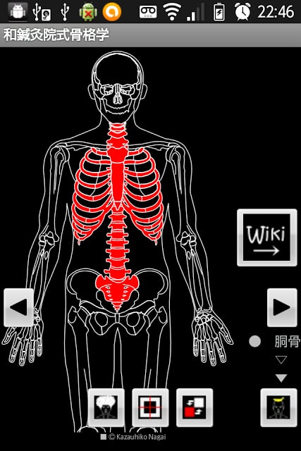 Skeletology（Nagomi旅游）2D截图7