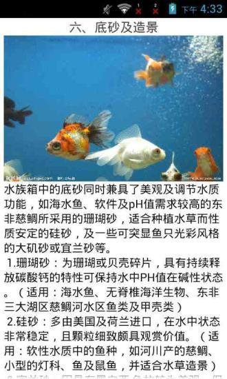 水族箱养鱼指南截图6