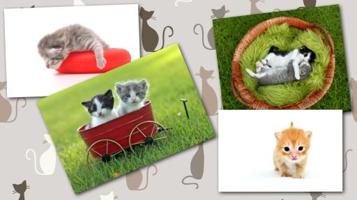 BABY CAT KITTEN LIVE WALLPAPER截图6