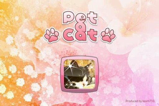 Pet a Cat截图1