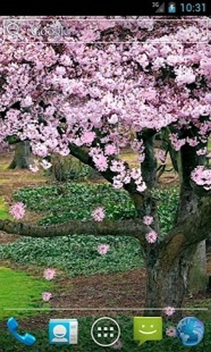 Amazing Spring Live Wallpaper截图4