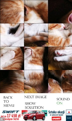 Cats Photo Puzzle截图1