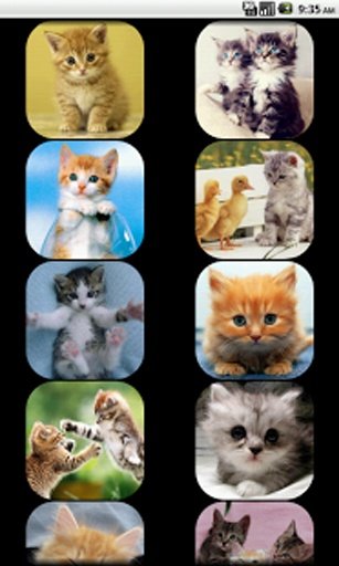 Kids - Cat Sounds截图4