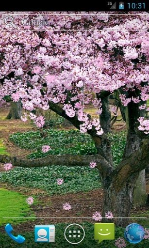 Amazing Spring Live Wallpaper截图7