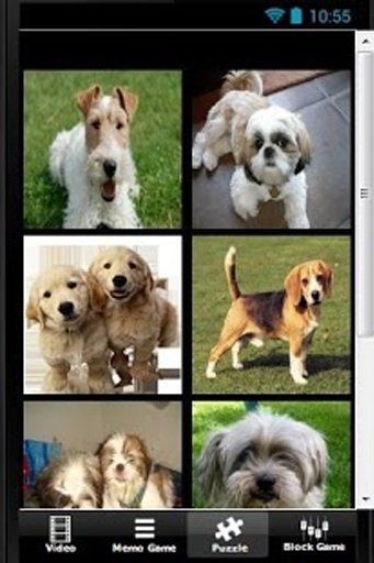 Pet Dogs Puzzle Games截图2