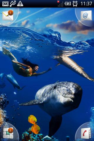 Magic Effect: Dolphins Mermaid截图1