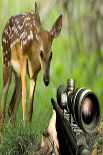 Hunting For Deer截图5