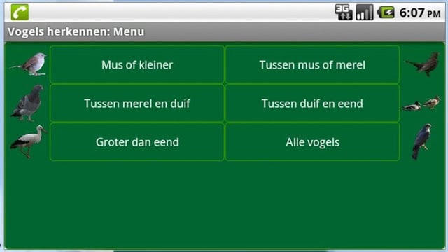 Vogels herkennen截图4