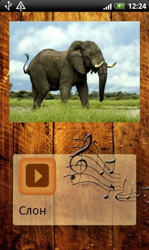 Zoo - Learn the Animals截图4