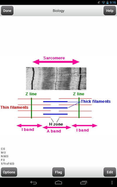 Pre-Med MCAT Flashcards Lite截图6