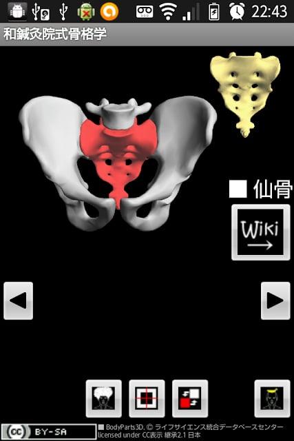 Skeletology（Nagomi旅游）2D截图2