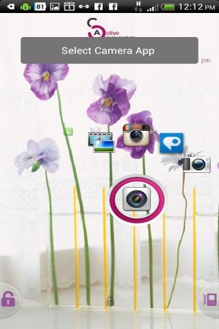 Pansy Flower - Start Theme截图3