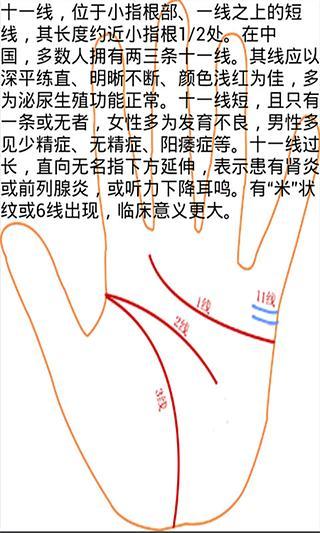 大师免费看手相截图4