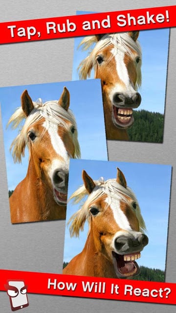 Angry Horse Free!截图2