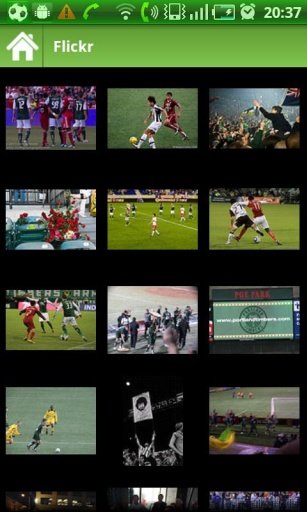 Portland Timbers news截图1