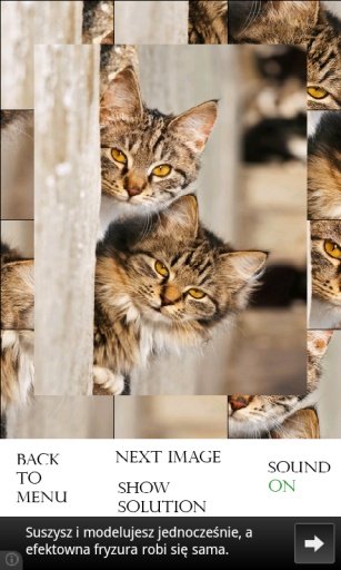 Cats Photo Puzzle截图2