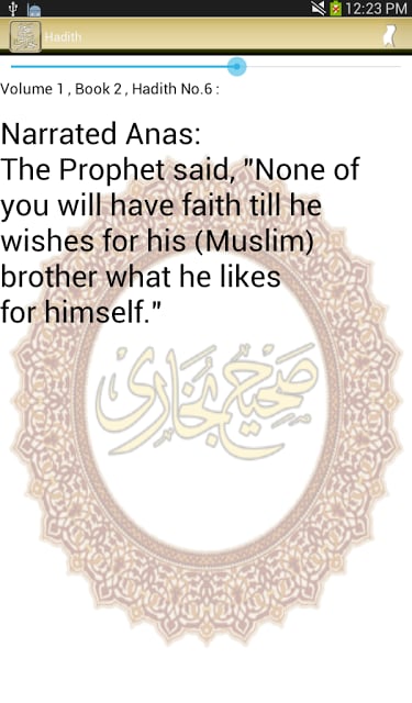 Sahih Bukhari English截图2