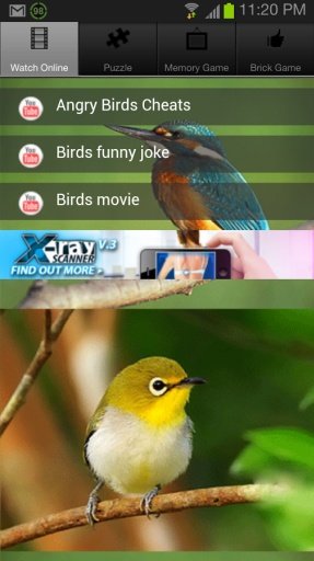 Save My Birds Kids Game截图5