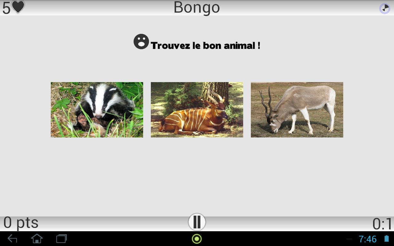 Animaux Quiz截图5