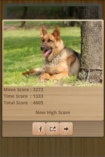 German Shepherd Wallpapers截图1