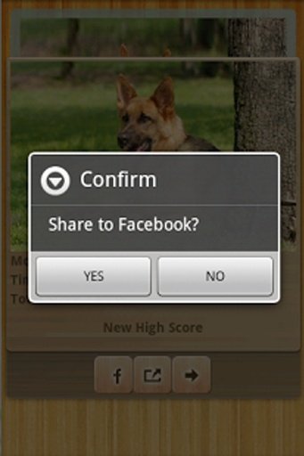 German Shepherd Wallpapers截图5