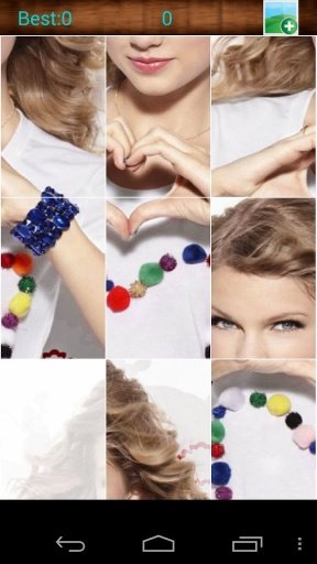 Taylor Swift Jigsaw Puzzle截图5