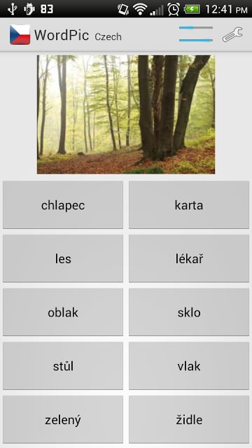 Learn Czech with WordPic截图4