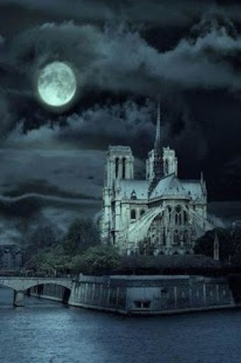 Paris Night截图2