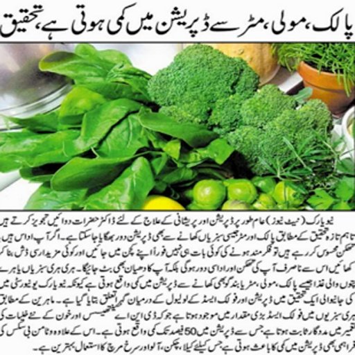 Urdu Health截图3