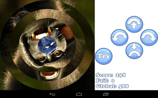 Animal circle puzzle截图2