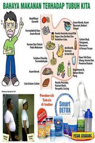 Diet Sehat Detox截图2