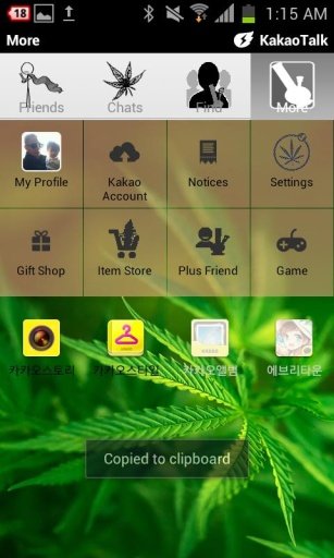 Kakao 420 Theme截图4