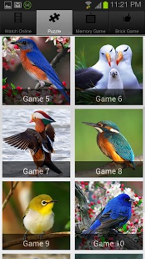 Save My Birds Kids Game截图8