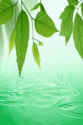 Rain Water Drop Live Wallpaper截图3