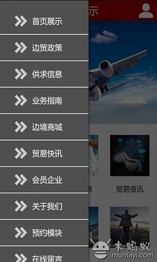 中国边境贸易网截图4