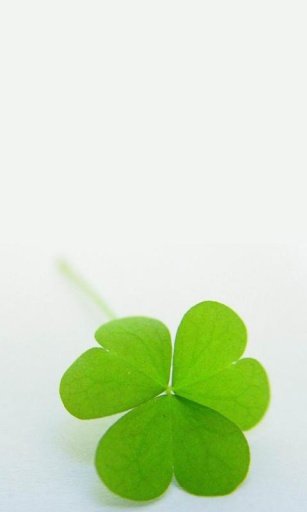 Shamrock Live Wallpaper截图3