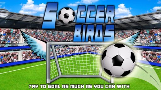 Soccer Birds截图6