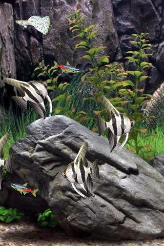 Fish Tank LWP截图2