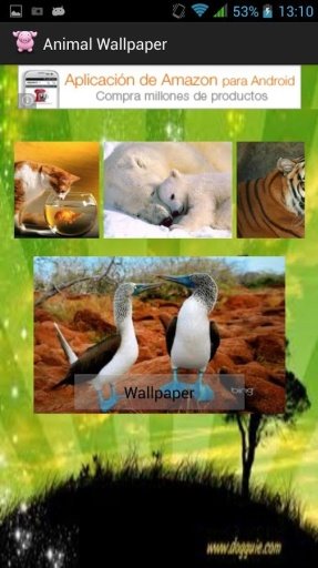 Animal Wallpaper截图4